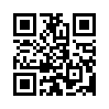 КулЛиб QR: Схема (fb2)