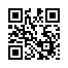 КулЛиб QR: Начальник милиции 4 (fb2)