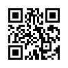 КулЛиб QR: Господин инспектор (fb2)