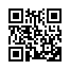 КулЛиб QR: Что к чему (fb2)
