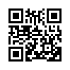 КулЛиб QR: В помощь партизану (fb2)