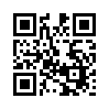 КулЛиб QR: Начбез и его Бес (fb2)