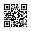 КулЛиб QR: Поддельная пара (fb2)