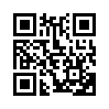 КулЛиб QR: Брат (fb2)