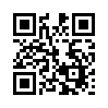 КулЛиб QR: Серая карусель (fb2)