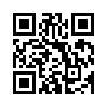 КулЛиб QR: Неутомимый наш ковчег. Опыт преодоления беды (fb2)