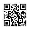 КулЛиб QR: Шолохов - это псевдоним (fb2)