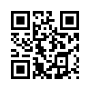 КулЛиб QR: Детектив поневоле (СИ) (fb2)