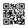 КулЛиб QR: Светлана свет его П (fb2)