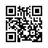 КулЛиб QR: Задание (fb2)
