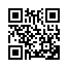 КулЛиб QR: Во все тяжкие 3 (СИ) (fb2)