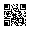 КулЛиб QR: Идеальная замена (fb2)