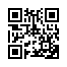 КулЛиб QR: Нетопырь (fb2)