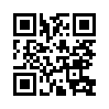 КулЛиб QR: Огневой щит Москвы (fb2)
