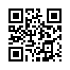 КулЛиб QR: С чего начиналось (fb2)