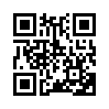 КулЛиб QR: Erratum-2 (fb2)