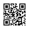 КулЛиб QR: Превратности стратегии (fb2)