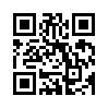 КулЛиб QR: Бамблби (fb2)
