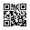 КулЛиб QR: Медведи (fb2)