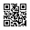 КулЛиб QR: Дядя самых честных правил 12. Финал (fb2)