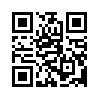 КулЛиб QR: Происшествие на Чайн-Род (fb2)