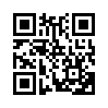 КулЛиб QR: Темная сторона (fb2)