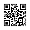 КулЛиб QR: Несчастье от кареты (fb2)