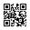 КулЛиб QR: Рэйзер (fb2)