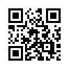 КулЛиб QR: Дневник провинциальной дамы (fb2)