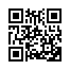 КулЛиб QR: Код лихорадки (fb2)