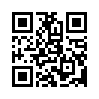 КулЛиб QR: Ведзьмин (fb2)
