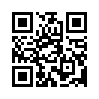 КулЛиб QR: Штирлиц, или Вперед в прошлое (fb2)