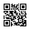 КулЛиб QR: Инкогнито (fb2)
