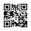 КулЛиб QR: Флирт (fb2)
