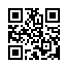 КулЛиб QR: Картина маслом (fb2)