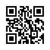 КулЛиб QR: Перфекционистка (fb2)