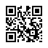 КулЛиб QR: Княжна Мстиславская (fb2)