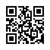 КулЛиб QR: Степан Разин (fb2)