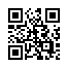 КулЛиб QR: Записки (fb2)