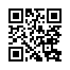 КулЛиб QR: Третья сторона медали (fb2)