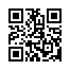 КулЛиб QR: Город (fb2)