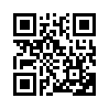 КулЛиб QR: Близнецы (fb2)
