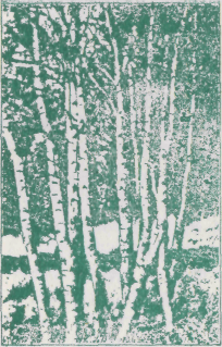 Зеленая книга леса (fb2)