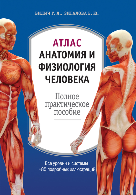 Атлас: анатомия и физиология человека. Полное практическое пособие (fb2)