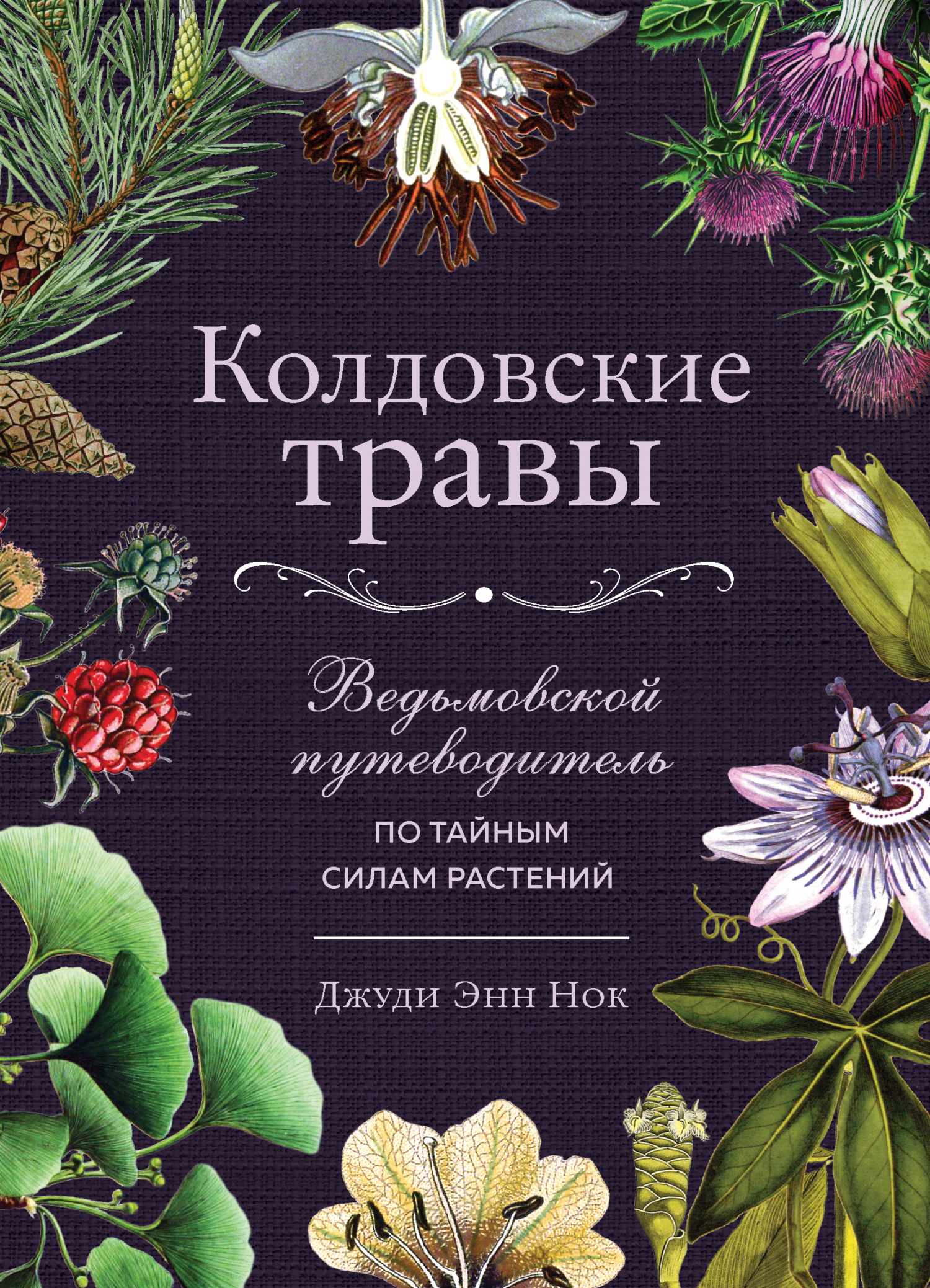 Колдовские травы. Ведьмовской путеводитель по тайным силам растений (fb2)
