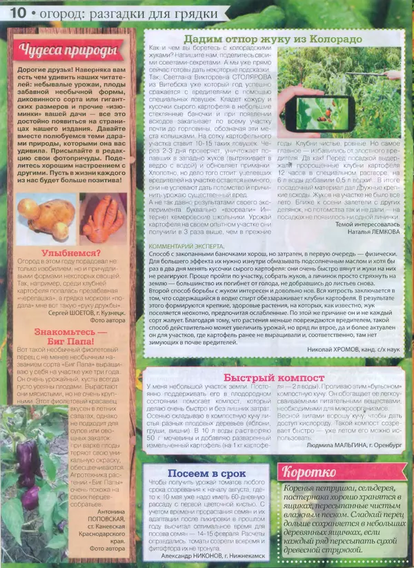 КулЛиб.   журнал Сваты на даче - Сваты на даче 2015 №11(11). Страница № 10