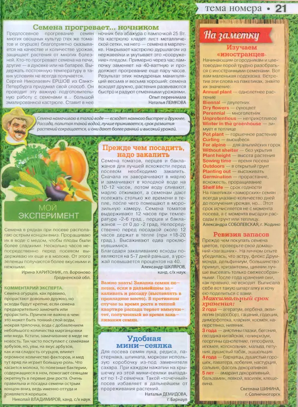 КулЛиб.   журнал Сваты на даче - Сваты на даче 2015 №11(11). Страница № 21