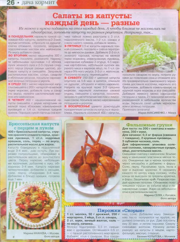 КулЛиб.   журнал Сваты на даче - Сваты на даче 2015 №11(11). Страница № 26