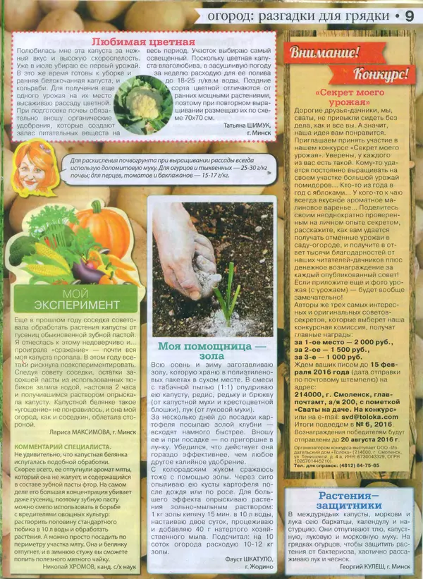 КулЛиб.   журнал Сваты на даче - Сваты на даче 2015 №11(11). Страница № 9