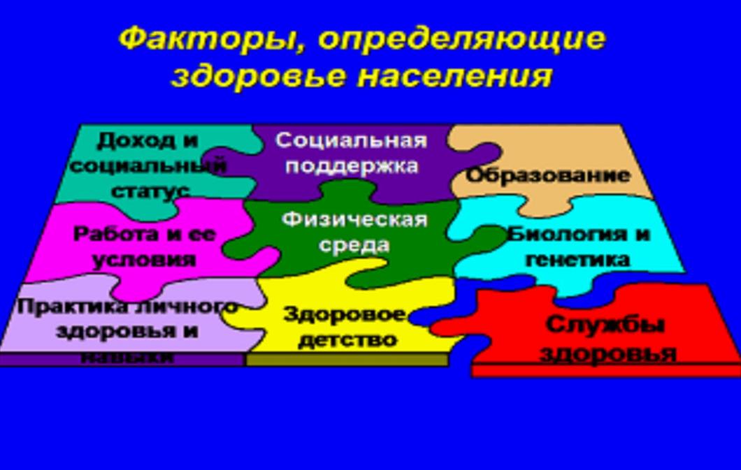 Реферат: Общее сведения о больнице и показатели здоровья населения (республика Беларусь)